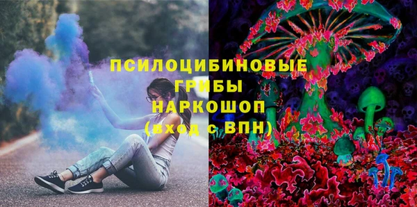 прущие грибы Богородицк