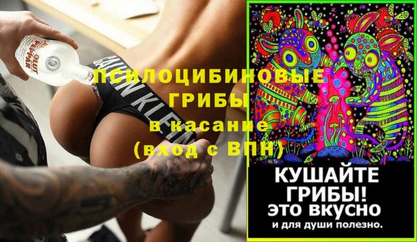 прущие грибы Богородицк