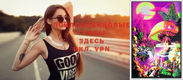 прущие грибы Богородицк